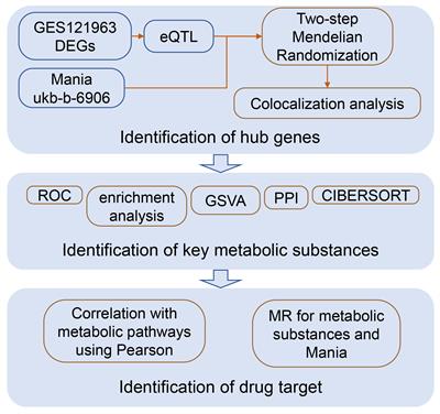 Utilizing systematic Mendelian randomization to identify potential therapeutic targets for mania